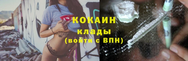 ПСИЛОЦИБИНОВЫЕ ГРИБЫ Заводоуковск