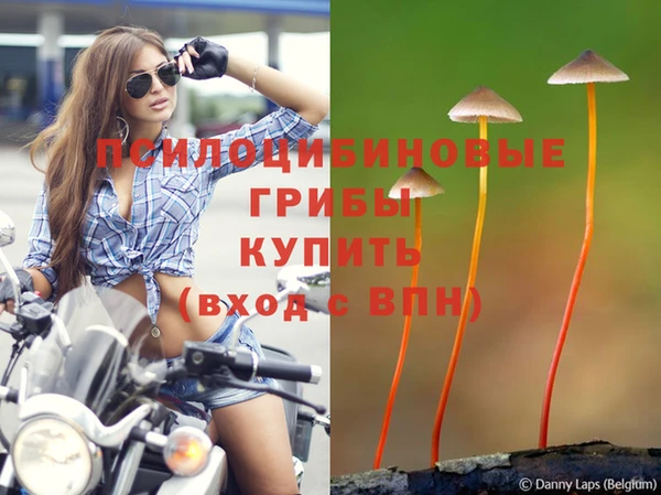 СК Заволжье