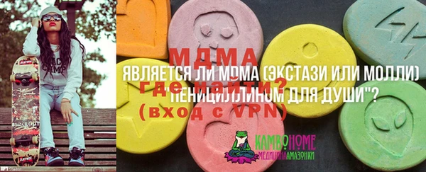 ПСИЛОЦИБИНОВЫЕ ГРИБЫ Заводоуковск
